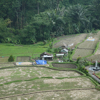 Photo de Bali - Baturiti